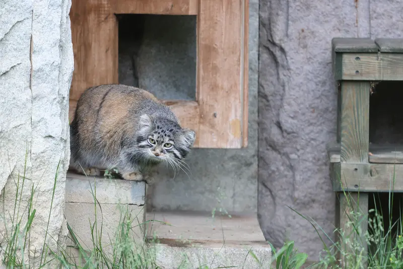 A photograph of Timofey in Moscow zoo