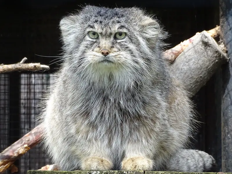 A photograph of Bjorn in Riga Zoo