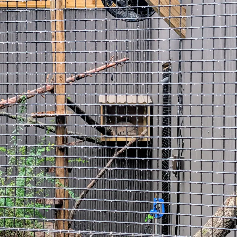 A photograph of Kasper in Elmwood Park Zoo