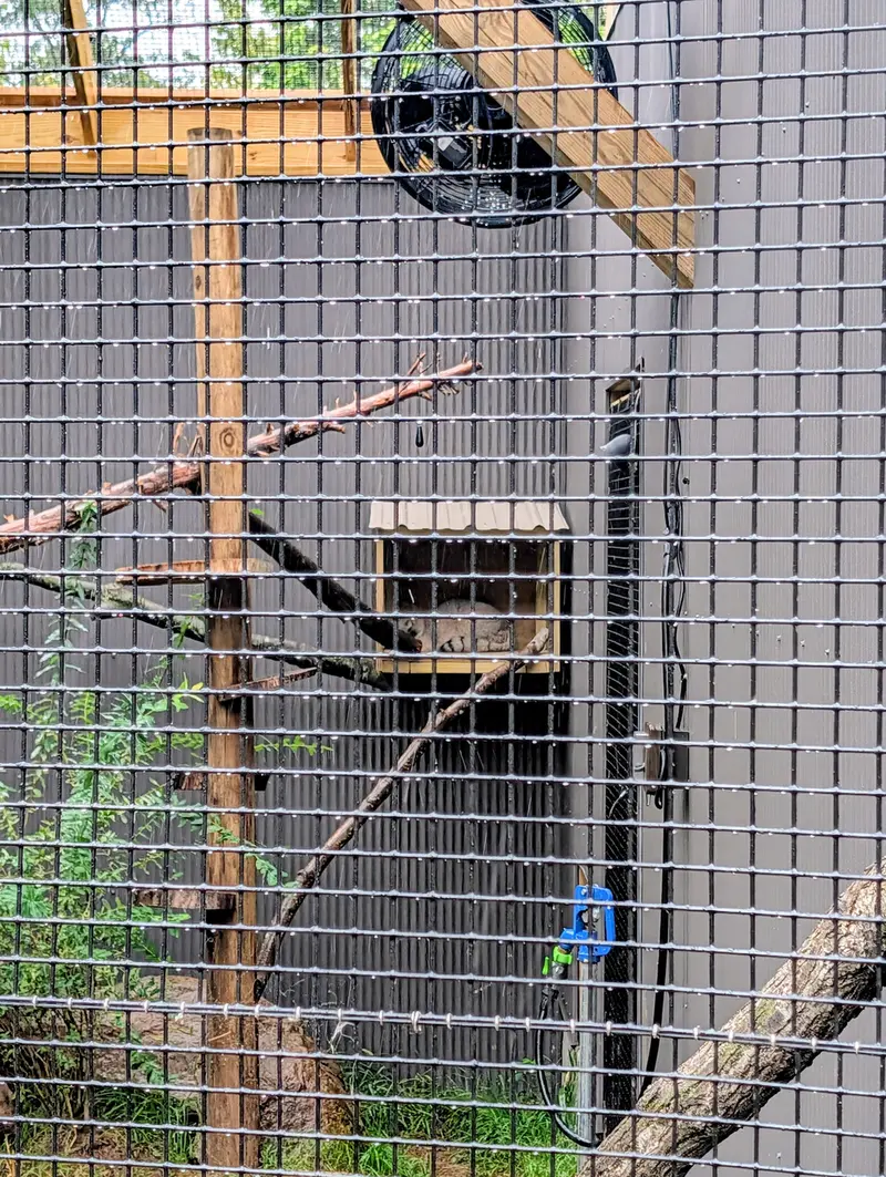 A photograph of Kasper in Elmwood Park Zoo
