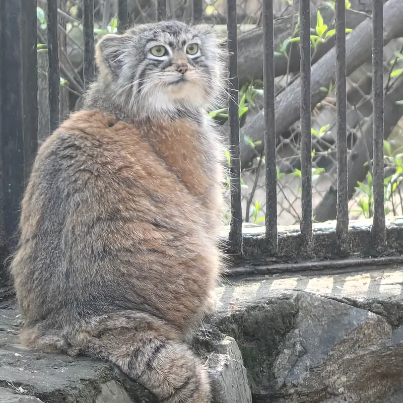 A photograph of Anya in Novosibirsk Zoo