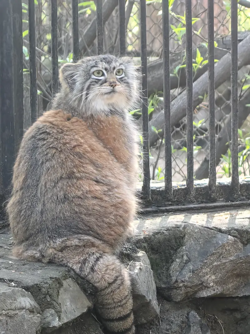 A photograph of Anya in Novosibirsk Zoo