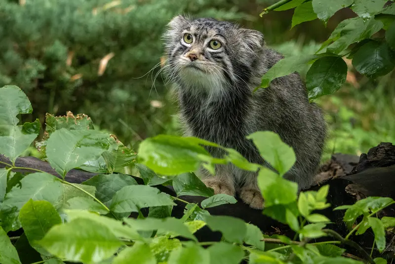 A photograph of Timofey in Moscow zoo