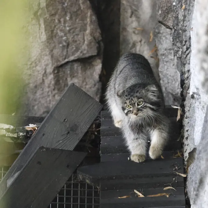 A photograph of Timofey in Moscow zoo