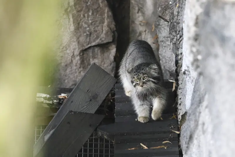 A photograph of Timofey in Moscow zoo