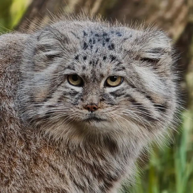 A photograph of Manuel in Gdansk Zoo