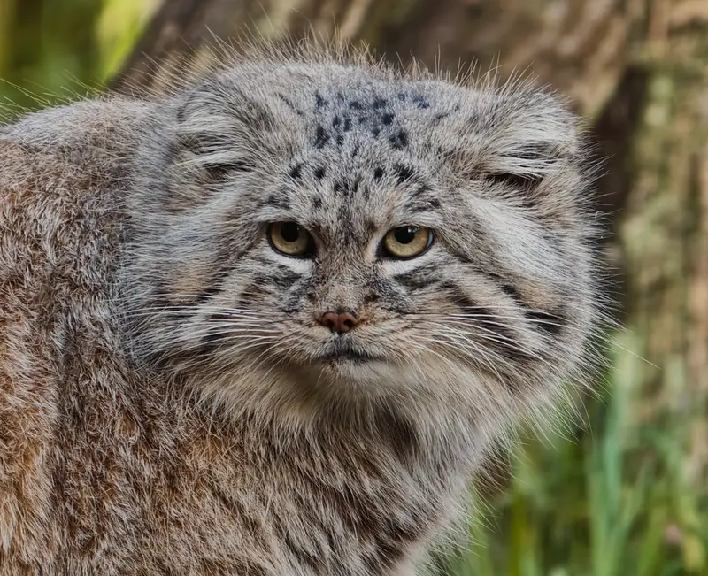 A photograph of Manuel in Gdansk Zoo