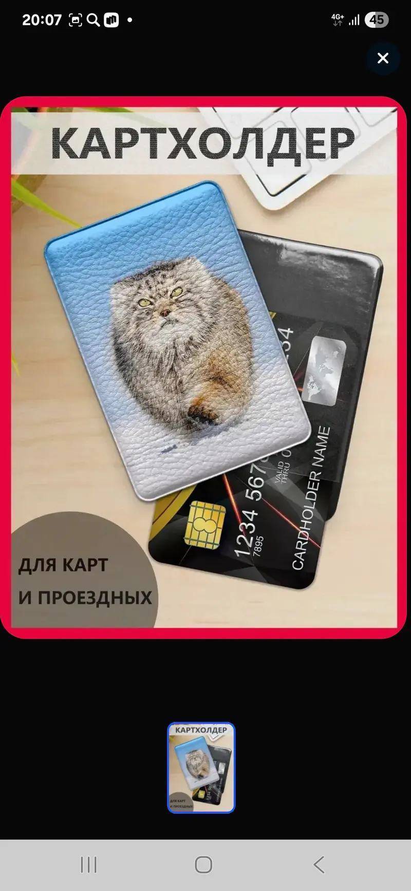 A photograph of a Pallas's cat
