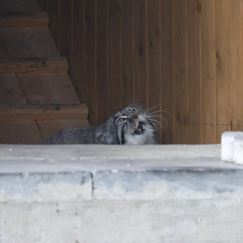 A photograph of Timofey in Moscow zoo