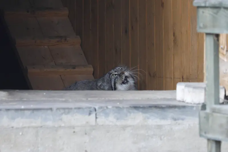 A photograph of Timofey in Moscow zoo