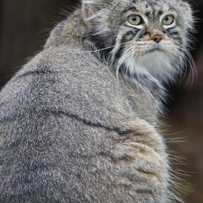 A photograph of Timofey in Moscow zoo