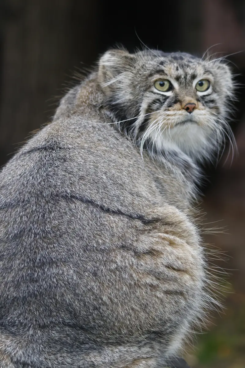 A photograph of Timofey in Moscow zoo