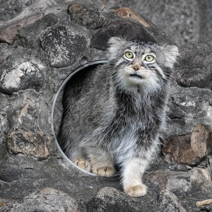 A photograph of Timofey in Moscow zoo