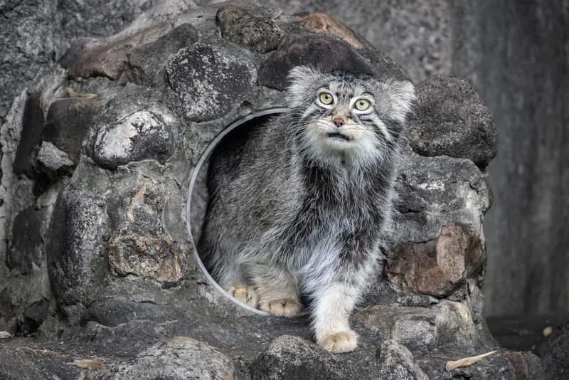 A photograph of Timofey in Moscow zoo
