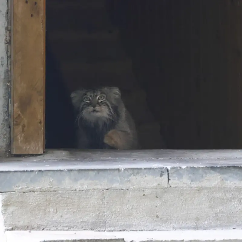 A photograph of Timofey in Moscow zoo