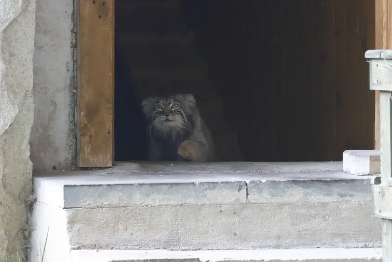 A photograph of Timofey in Moscow zoo