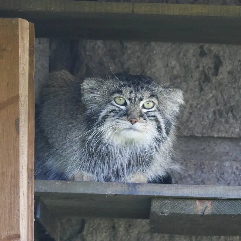 A photograph of Timofey in Moscow zoo