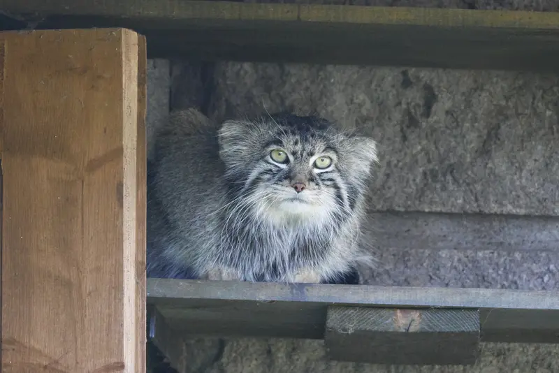 A photograph of Timofey in Moscow zoo