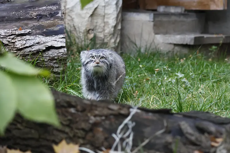 A photograph of Timofey in Moscow zoo