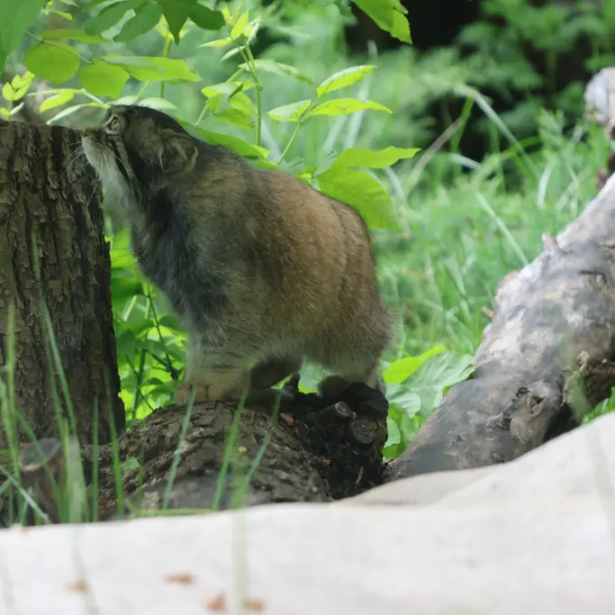 A photograph of Timofey in Moscow zoo