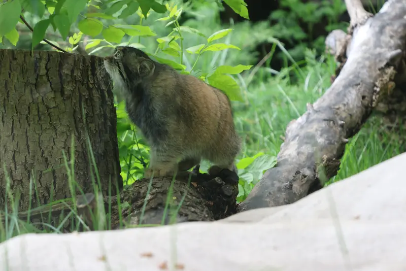 A photograph of Timofey in Moscow zoo
