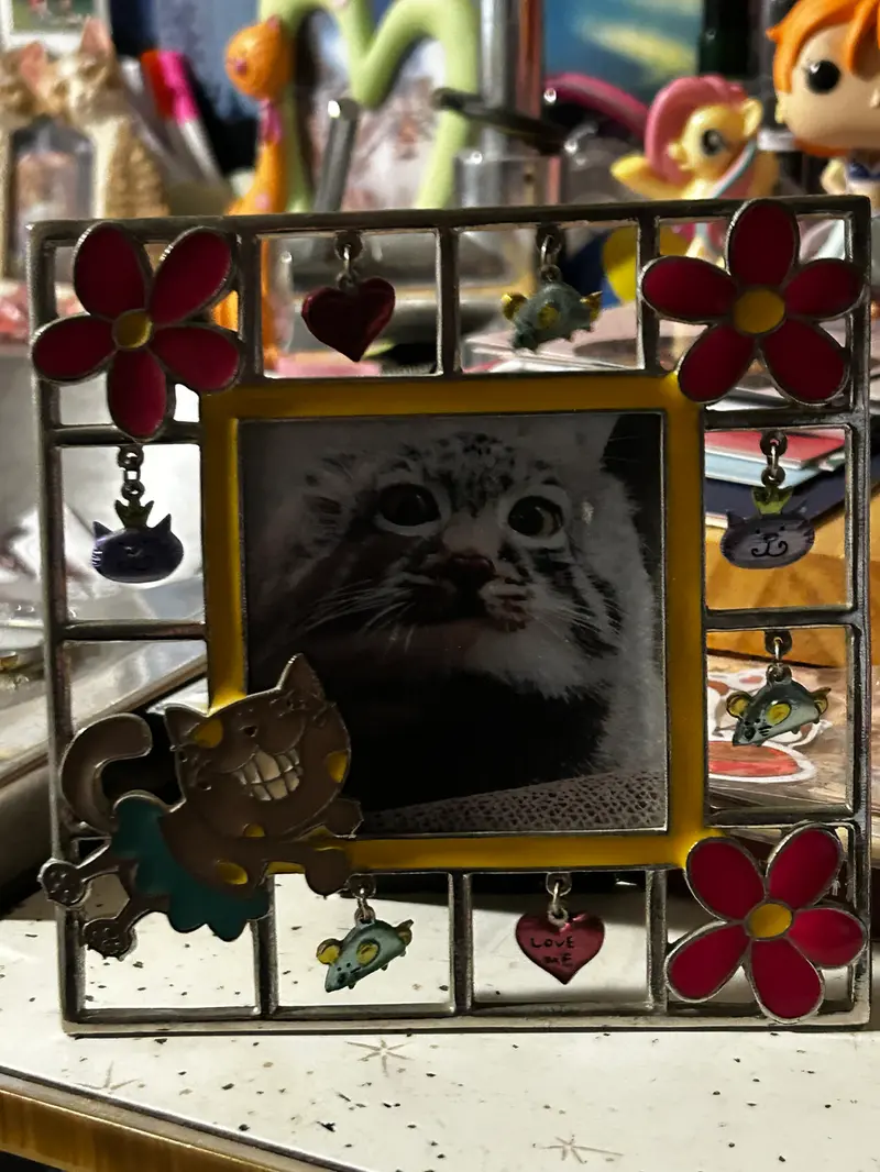 A photograph of Sun Sanlang