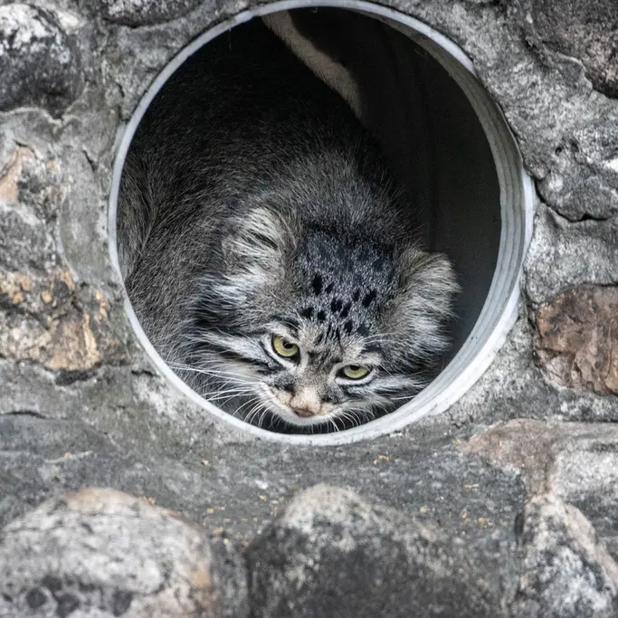 A photograph of Timofey in Moscow zoo