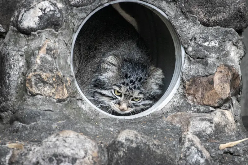A photograph of Timofey in Moscow zoo