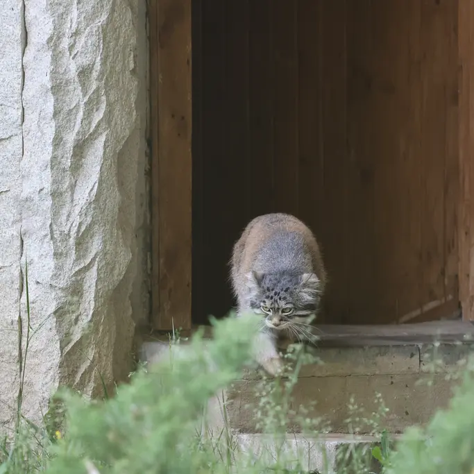 A photograph of Timofey in Moscow zoo