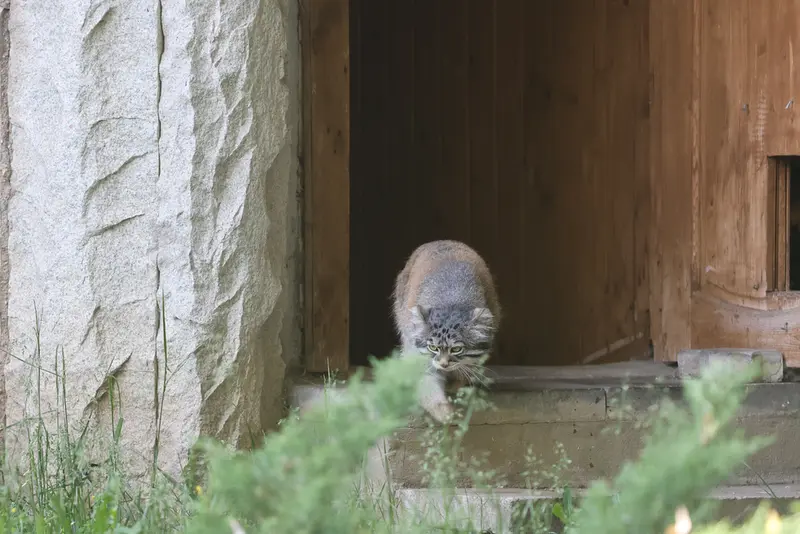 A photograph of Timofey in Moscow zoo