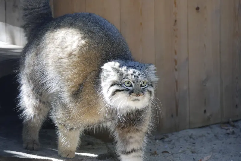 A photograph of Anya in Novosibirsk Zoo