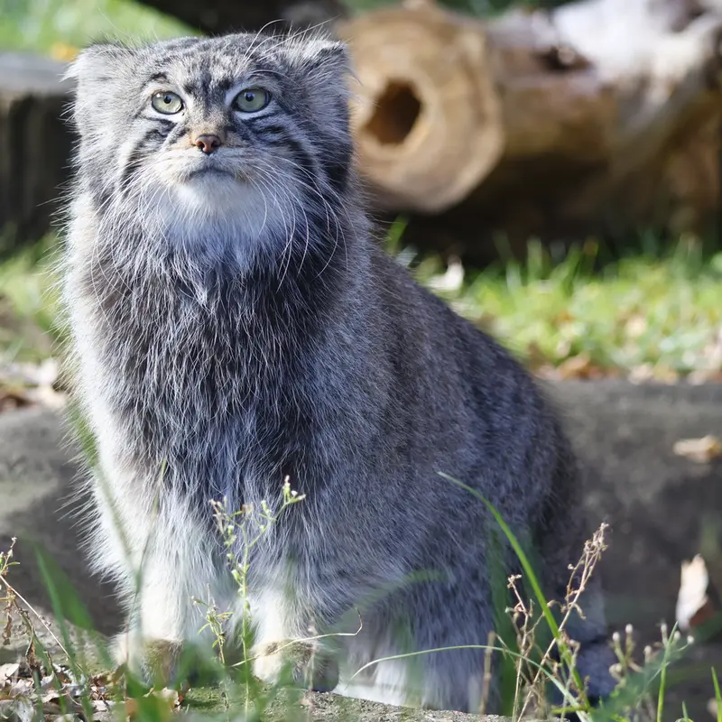 A photograph of Timofey in Moscow zoo