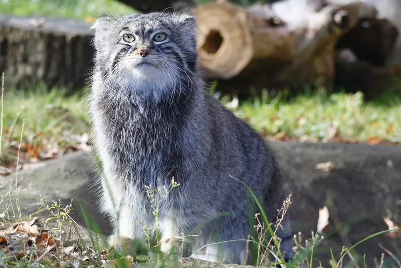 A photograph of Timofey in Moscow zoo