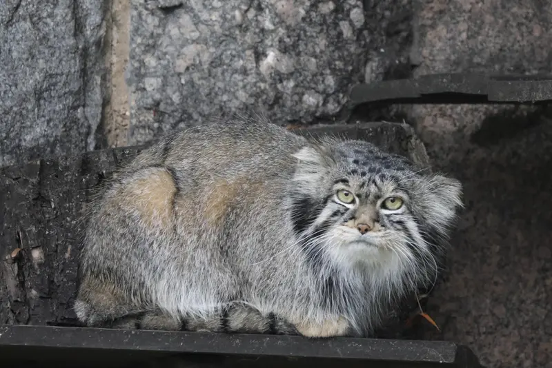 A photograph of Timofey in Moscow zoo