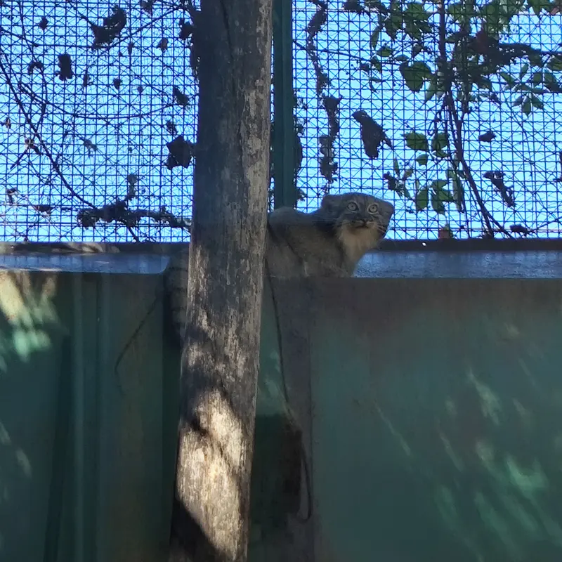 A photograph of Lucy in Budapest Zoo & Botanical Garden