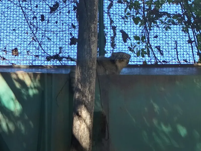 A photograph of Lucy in Budapest Zoo & Botanical Garden