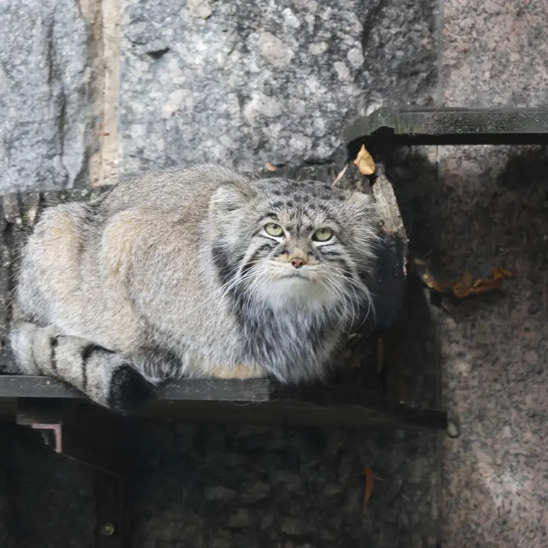 A photograph of Timofey in Moscow zoo