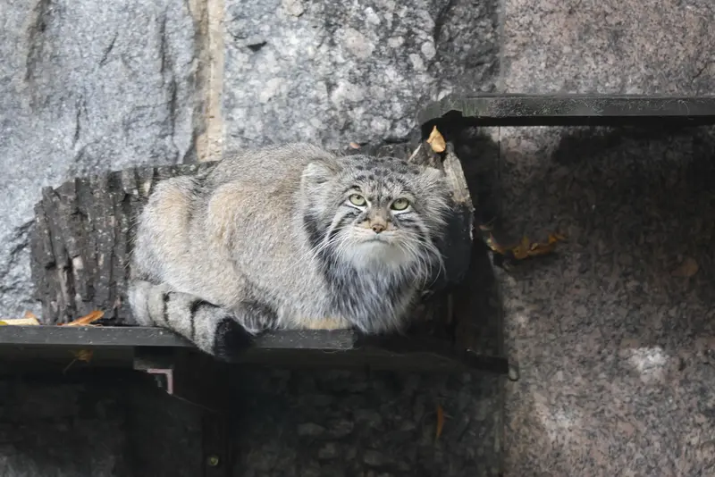 A photograph of Timofey in Moscow zoo