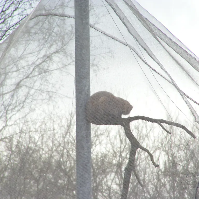 A photograph of Bat-Erdene in The Lakeland Wildlife Oasis