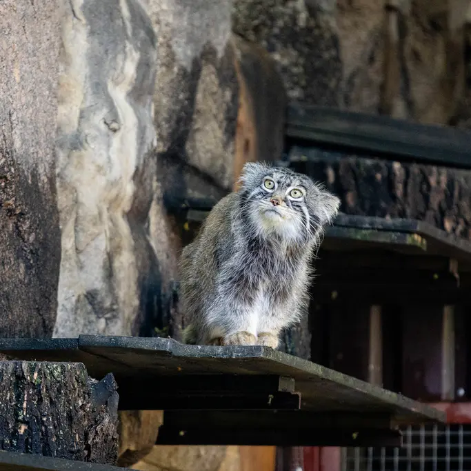 A photograph of Timofey in Moscow zoo