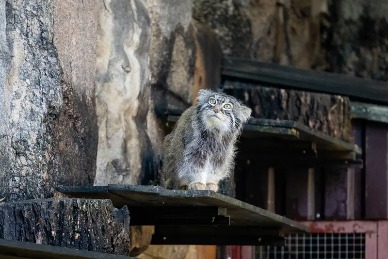 A photograph of Timofey in Moscow zoo