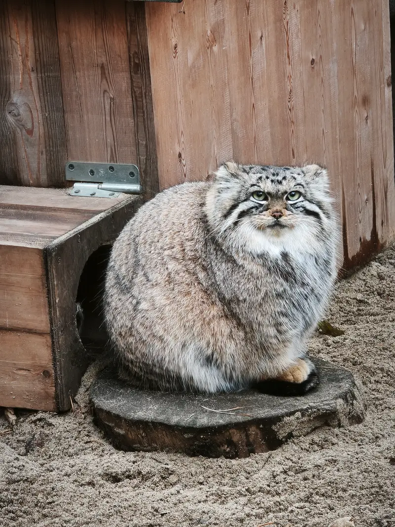 A photograph of Anya in Novosibirsk Zoo