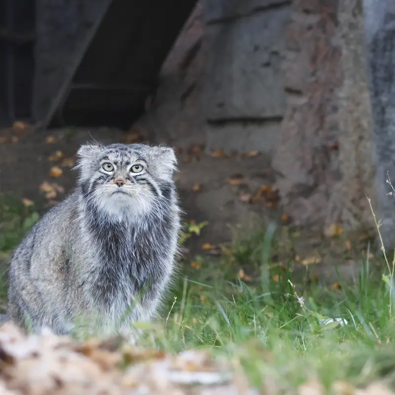 A photograph of Timofey in Moscow zoo
