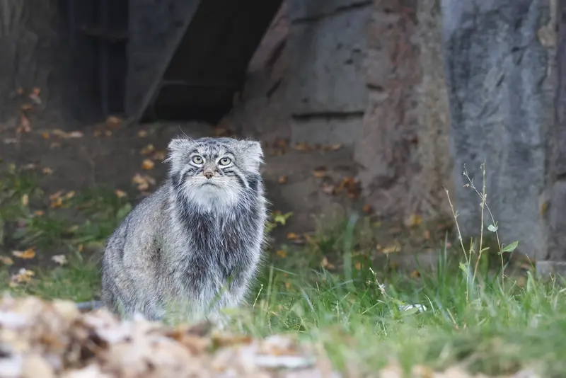 A photograph of Timofey in Moscow zoo
