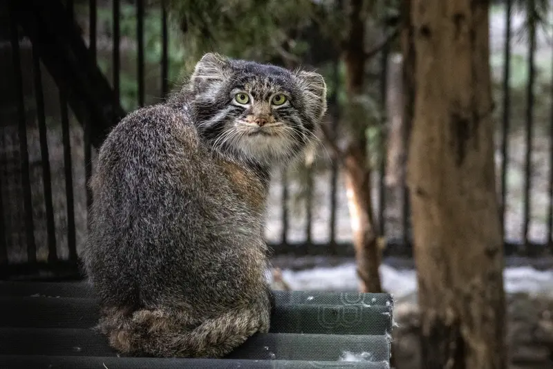 A photograph of Marik in Novosibirsk Zoo