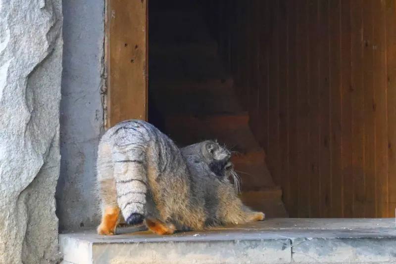 A photograph of Timofey in Moscow zoo