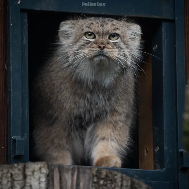 A photograph of Melissa in Lithuanian Zoo