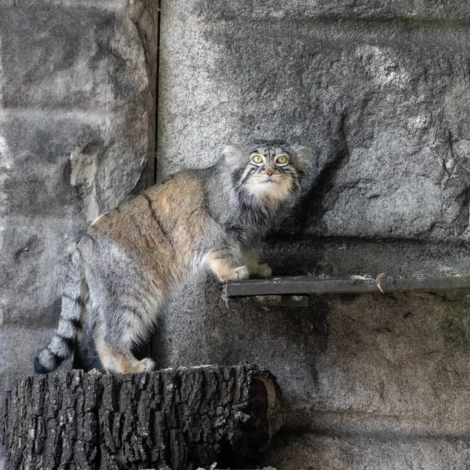 A photograph of Timofey in Moscow zoo