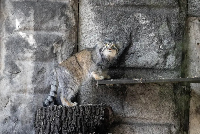 A photograph of Timofey in Moscow zoo