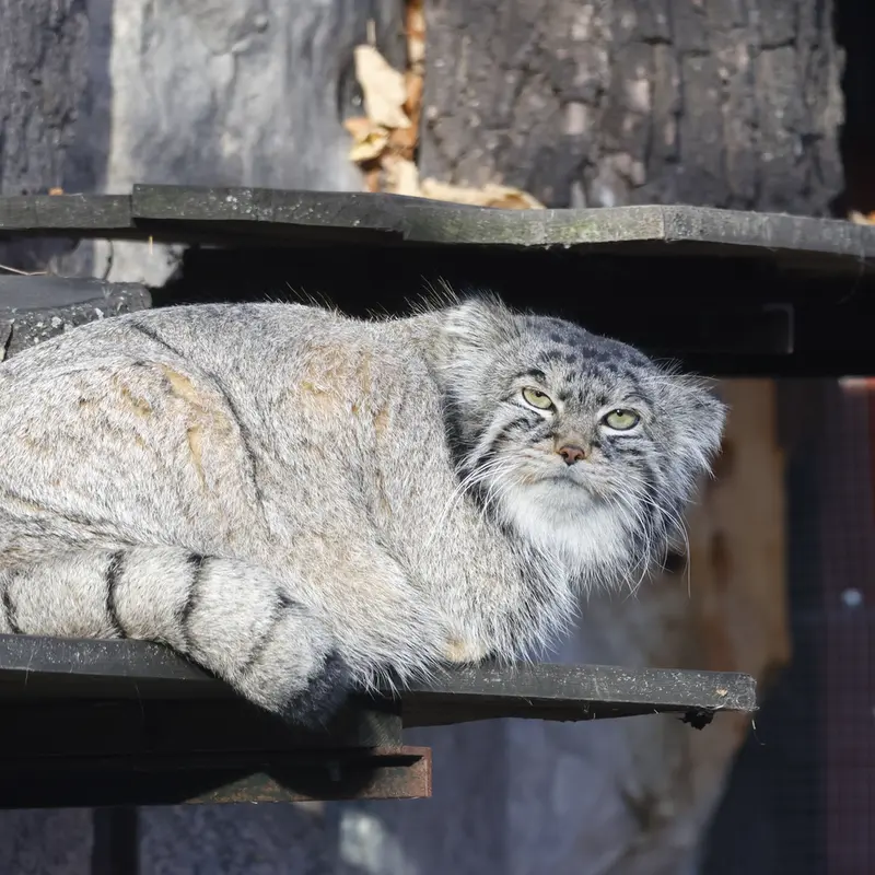 A photograph of Timofey in Moscow zoo